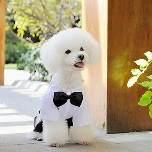 Dog Bow Tie Suit Tuxedo Costume Formal Shirt With Strap Cloth Stylish Pet Clothes Wedding Black Jacket Suit Puppy For Outdoor